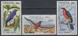 1960, birds.