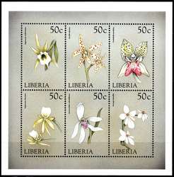 541525: Natur, Blumen, Orchideen
