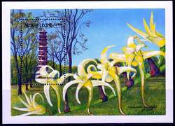 541525: Natur, Blumen, Orchideen
