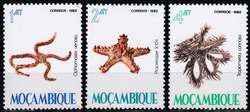 4460: Mosambik