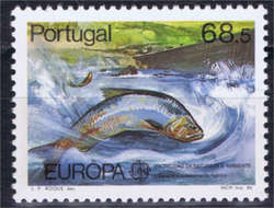 5255: Portugal