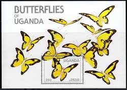 841520: Tiere, Insekten, Schmetterlinge
