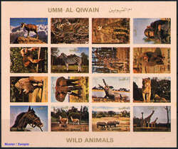 6530: Umm al Quwain