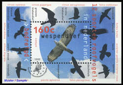 Picture 1 for Lot from DBA Freiburg GmbH