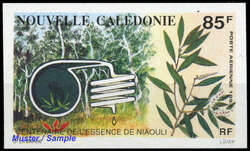 4555: New Caledonia