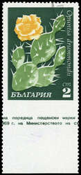 2010: Bulgarien